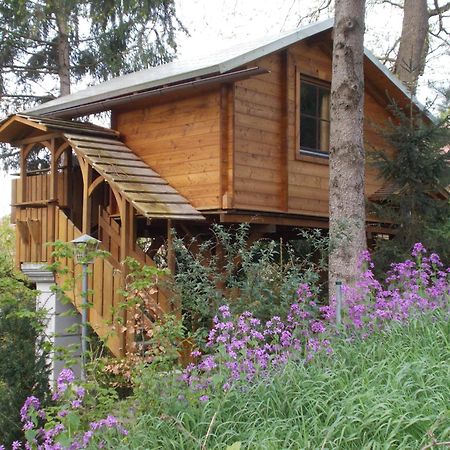 Baumhaus Wolfshoehle Fischach المظهر الخارجي الصورة